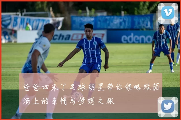 爸爸回来了足球明星带你领略绿茵场上的亲情与梦想之旅
