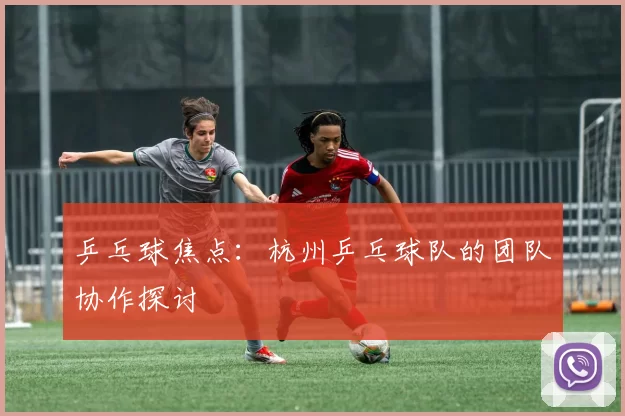 乒乓球焦点：杭州乒乓球队的团队协作探讨