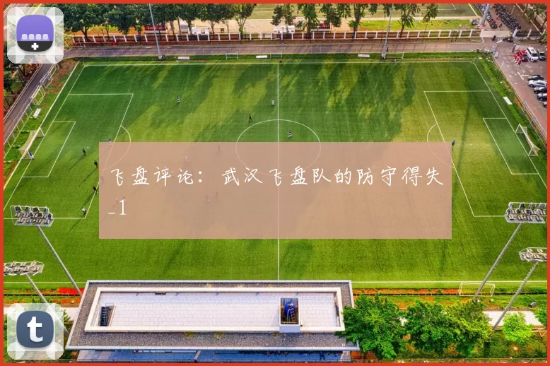飞盘评论：武汉飞盘队的防守得失_1